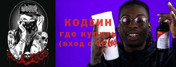 дживик Анжеро-Судженск