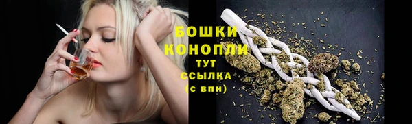 амф Майский