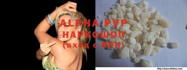шишки Апатиты