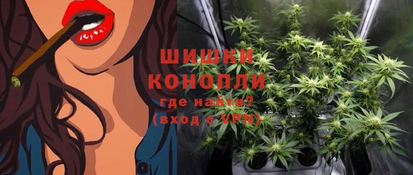 амф Майский