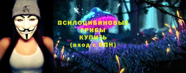 мдпв Медногорск