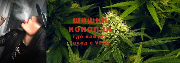 мдпв Медногорск
