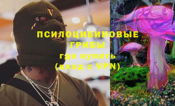 гидра Медвежьегорск