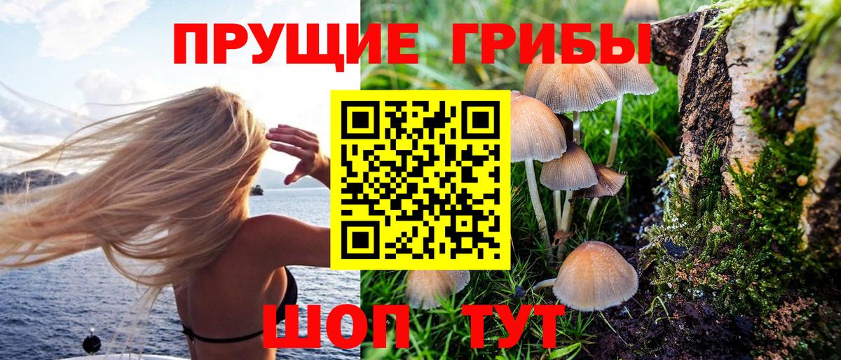 Псилоцибиновые грибы ЛСД Южно-Сахалинск