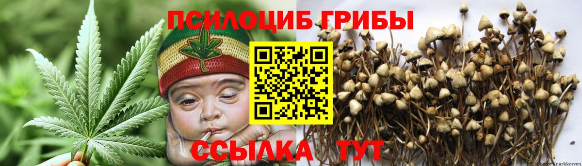 Южно-Сахалинск  Псилоцибиновые грибы Psilocybe  Вход с VPN 